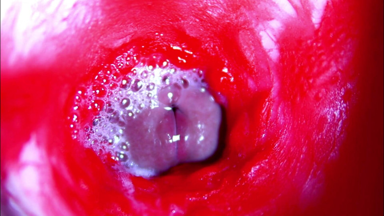 SEXY_GUYBEST: Extreme close-up ASMR head inside wet pussy