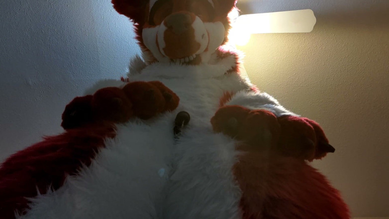 PawgrammerSocks: 풀 바디 Fursuit의 털이 무성한 보지를 핑거링한 다음 스스로 사정