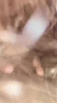 Desi ragazzo amico e ragazza video di sesso
