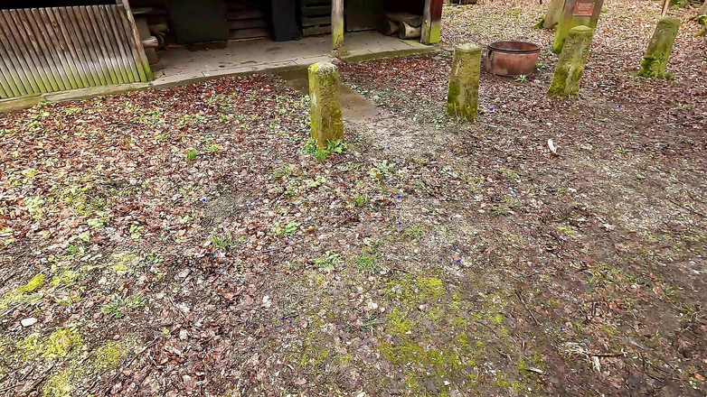 Bouncy Tits Action: Обнаженную пизду долбят на столе для пикника