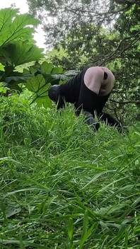 Wild Pegging