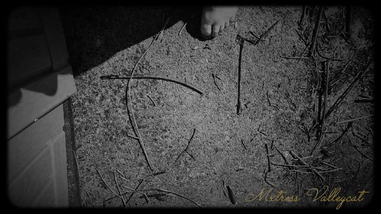 Mxtress Valleycat: Siete días para ser mi esclavo