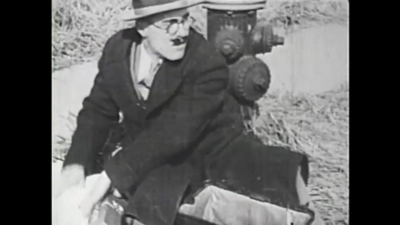 The Unforgettable: Gozona 돼지 펌프스 우유