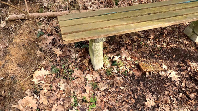 Bouncy Tits Action: Naked Vagina Spanking Near Hiking Way