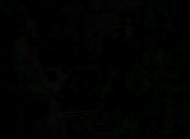 Lesbo Tube: Oszałamiające lesbijki bawią się i liżą cipki