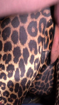 Halloween Treat in Leopard Zentai Catsuit - Projectfundiary