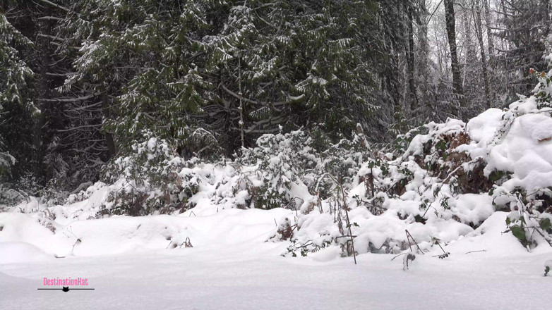 Destination Kat: Peeing in and Out of the Snow