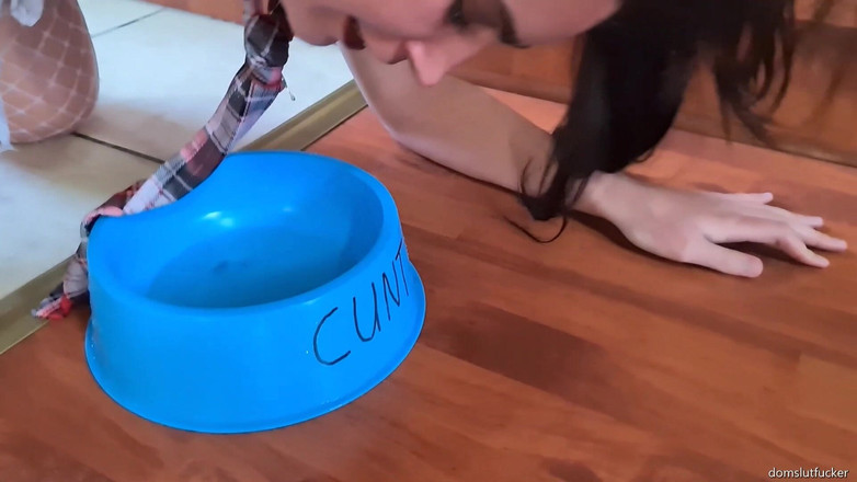 domslutfucker: O curvă cu codițe plimbată cu Lessh Laps up pișat