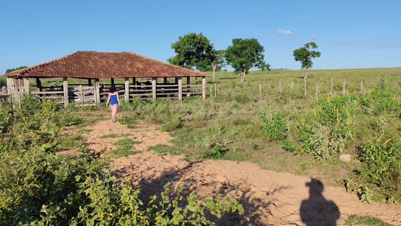 MARCIO BAIANO: I Went to Visit My Farm and Ended up Having...