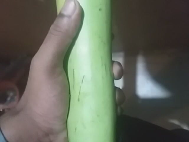 World simon: Elle muamele sikişi