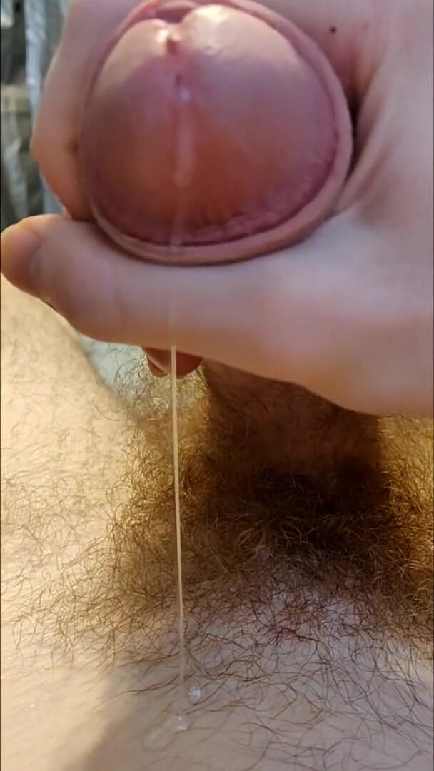 AssHungry4Cock: I slowly stroke out a precum puddle