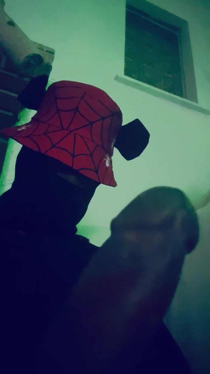 Slomocum: Swingswing