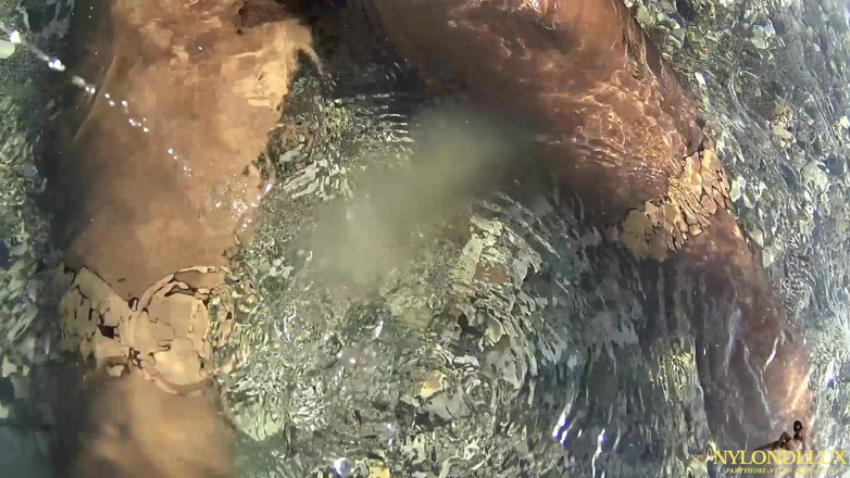 Nylondelux: सार्वजनिक समुद्र तट पर नायलॉन का मज़ा