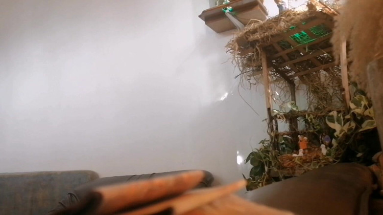 Tina Baby: Pokojówka błaga o litość dla kradzieży tego, co moje