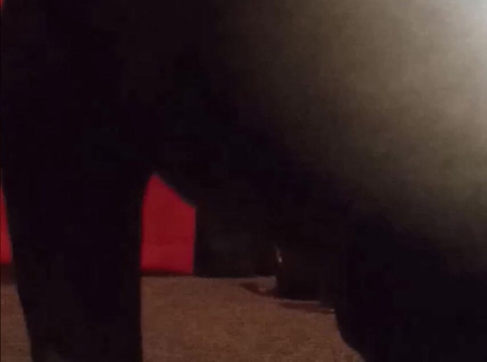 bott17: Cítí se dobře