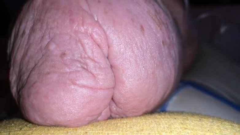 Monster_Meat_: Cockzilla S kembali selepas menambah glukosa 2liter
