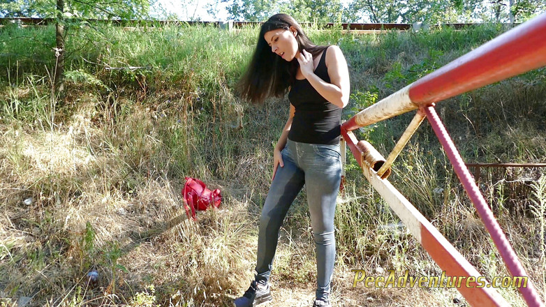 Pee Adventures: 路边的大便