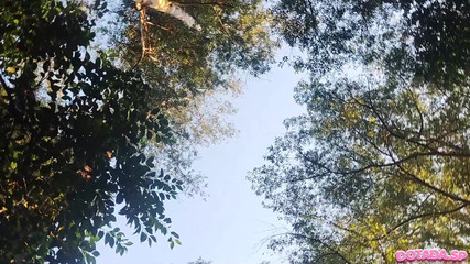 DOTADA.SP: Danza parco perverso francia