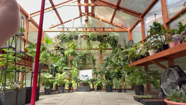 Destination Kat: More Greenhouse Work