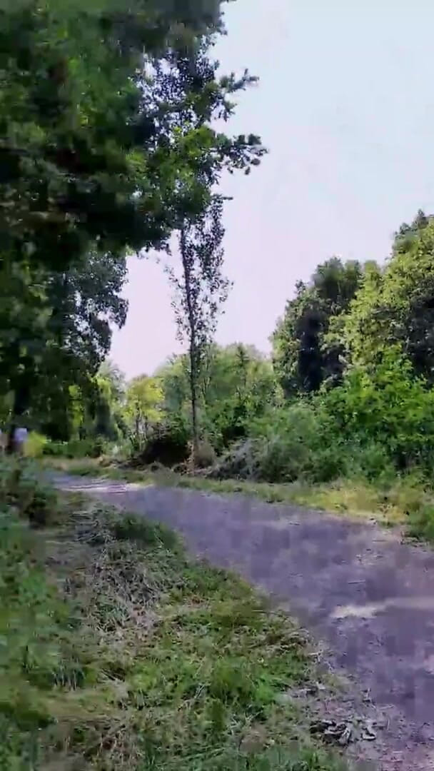 Slutboyben: Il ragazzo in cam4 maiale esibizionista pubblico mega sexy