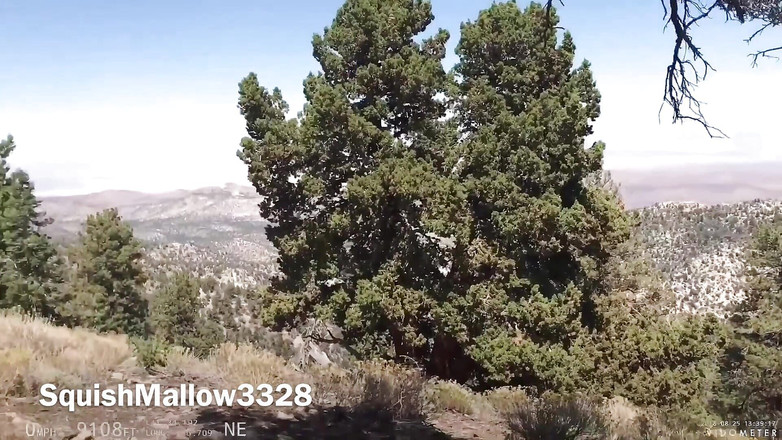 SquishMallow3328: After Fucking on Top of the Mountain, We Went Straight...