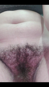 My Bush Is Becoming More and More Abundant.