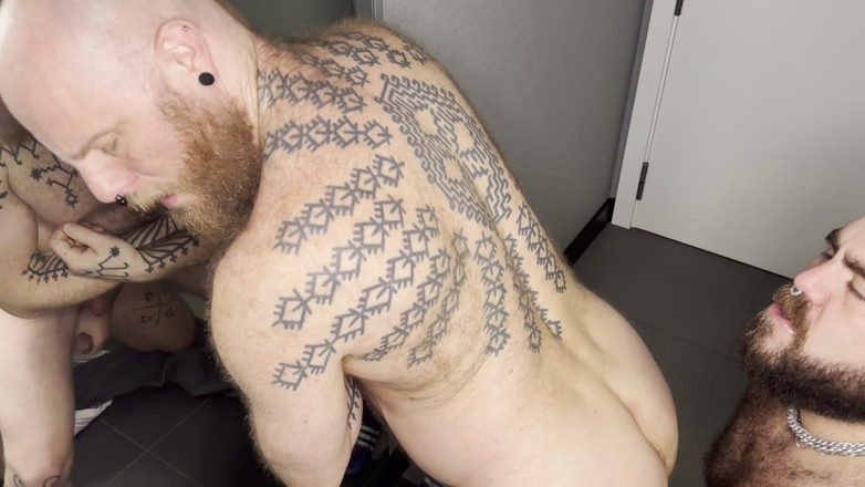 ScruffyStocky: Hairy Bear Top Rough Bareback Doggy Missionary Deepthroat Spanking Breeding