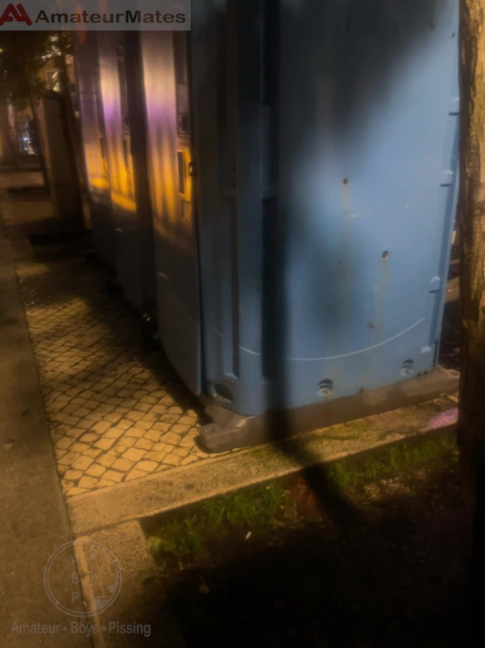 AmateurBoysPissing: Un Amateur Ouvre Des Toilettes Publiques, Surprend Son Pote Roux...