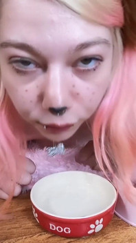 Cute Pet Girl Drink From Her Bowl