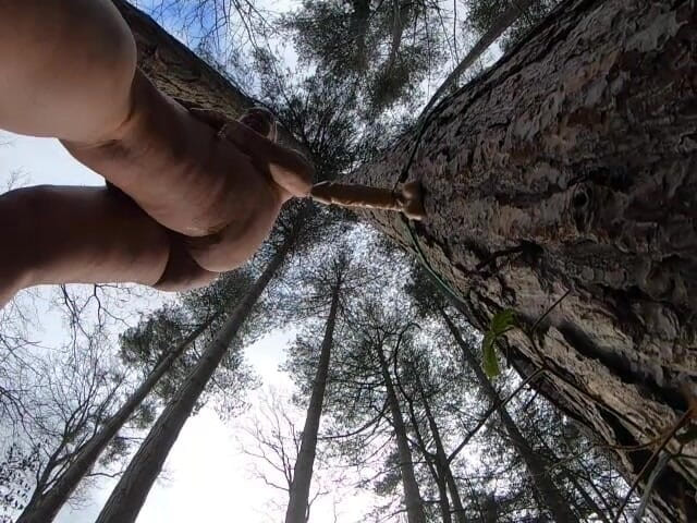Andy: Dildo in the Wood 2