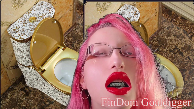 FinDom Goaldigger: Toilet cleaner servant transformation!