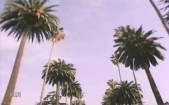 Vintage Vixens: Beverly hills vintage sex tape - dutch subtitles