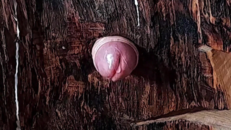 Master Drex: Candlestick for fucking