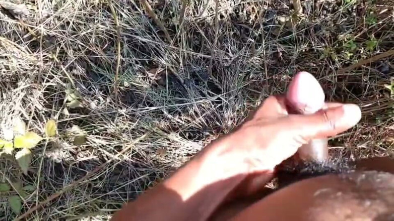 Desi Tits: Indiana fodendo na selva xxx vídeo