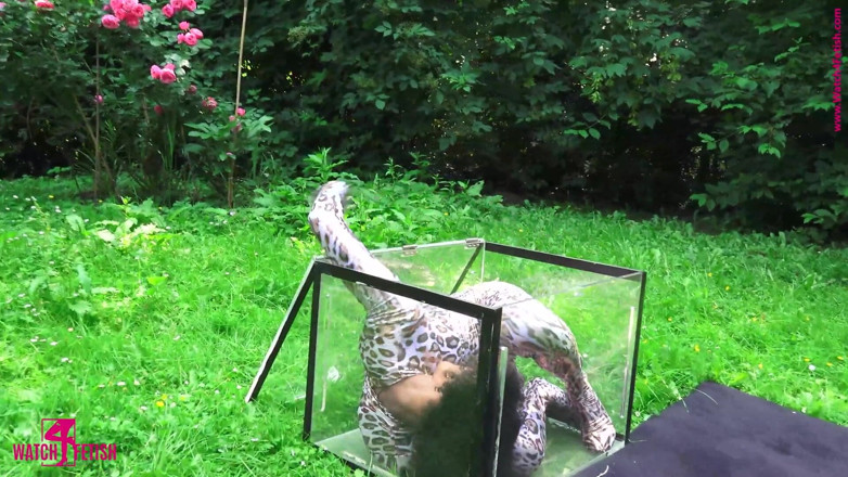 Gymnastic: Surprise in the Glass Box