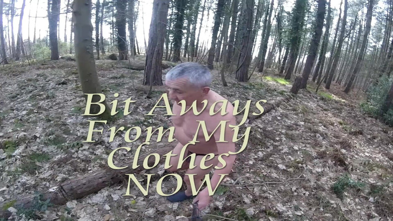 Andy: Camminata 12 2025