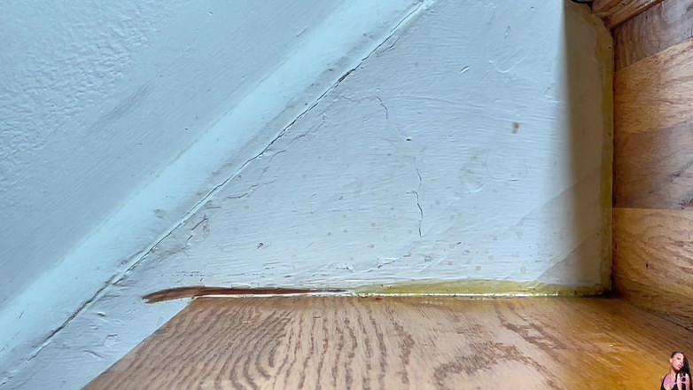 Pink Foxx: Mergând pe scări în sus și în jos