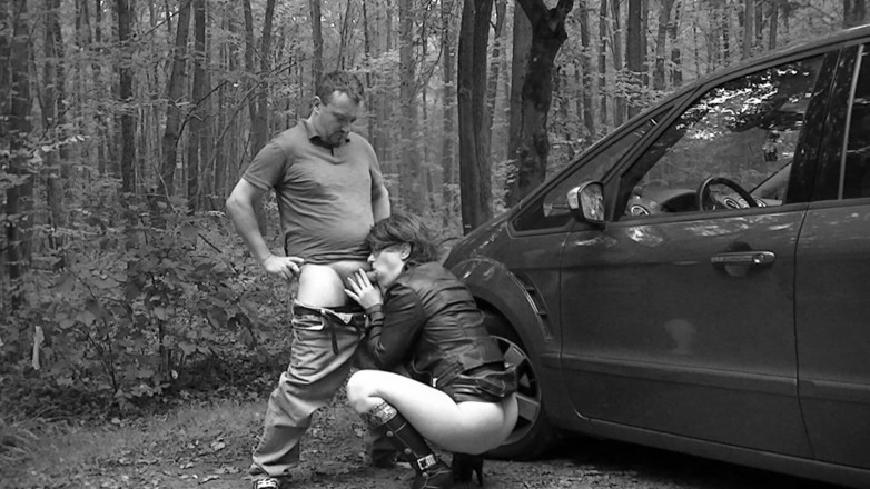 Popp Sylvie: Sylvies double - sodomie et baise dans la nature