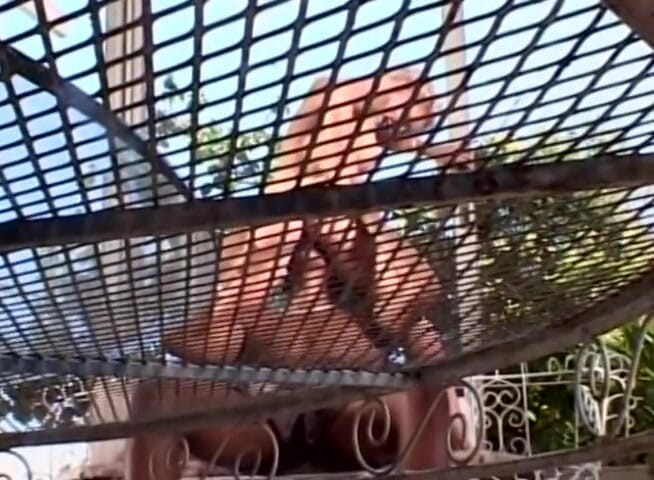 BBC Bootycasting: Stunning babes getting pussies and ass holes drilled interracially