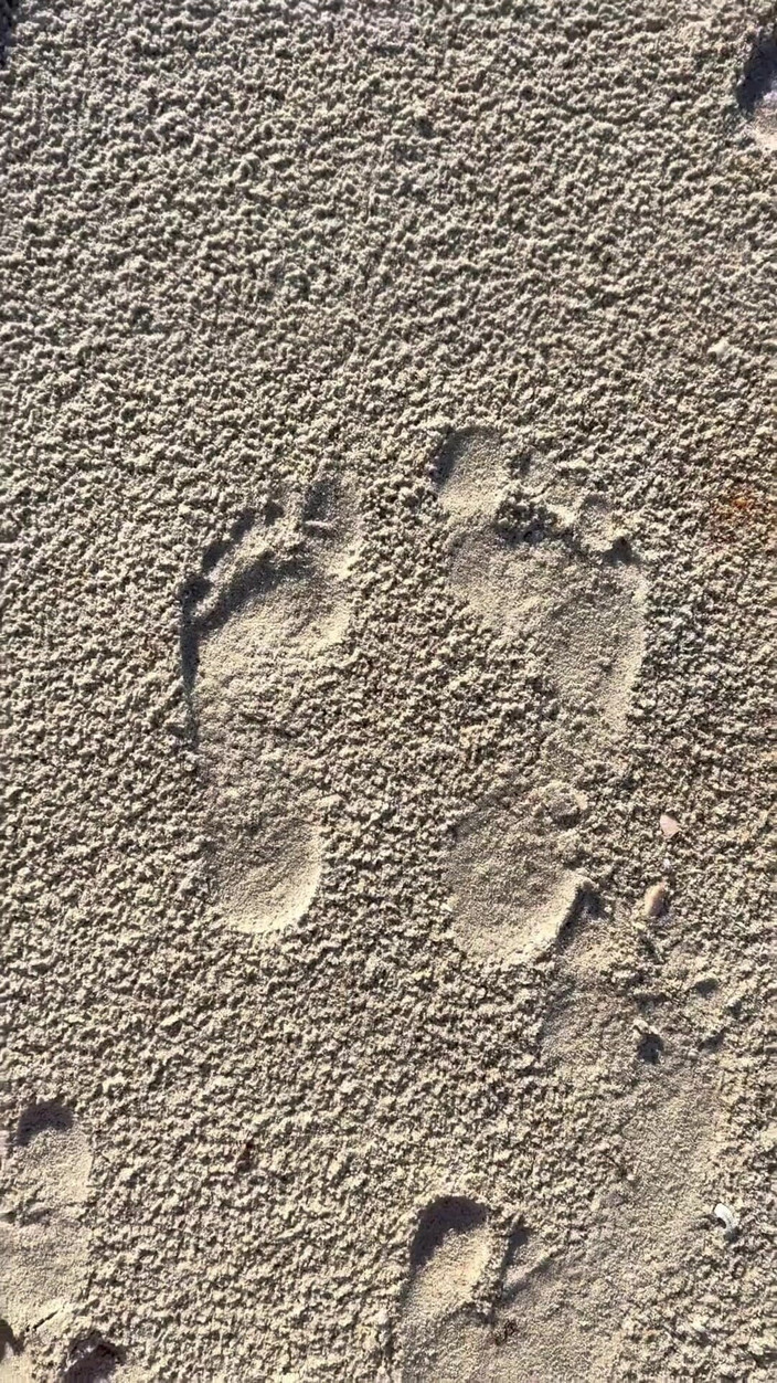 Peppermint Giantess: 16 feet boyutunu plajda kum baskılarıyla karşılaştırıyor