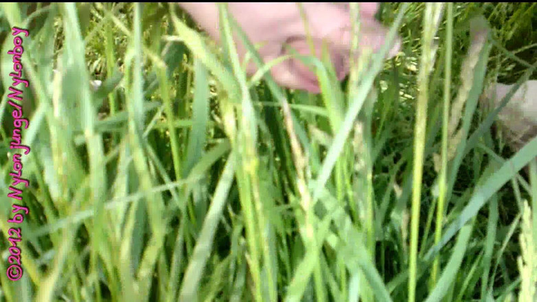 Carmen_Nylonjunge: 드디어 알몸 (딸딸이) - 2부