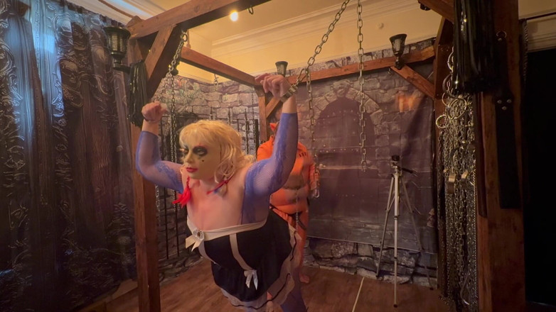 Aaexperiencesltd: Swine cock और harlequin