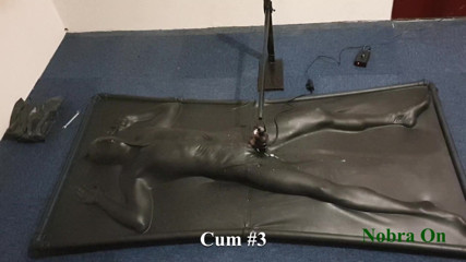 NL Milking: Vacbed and Nobra with timer