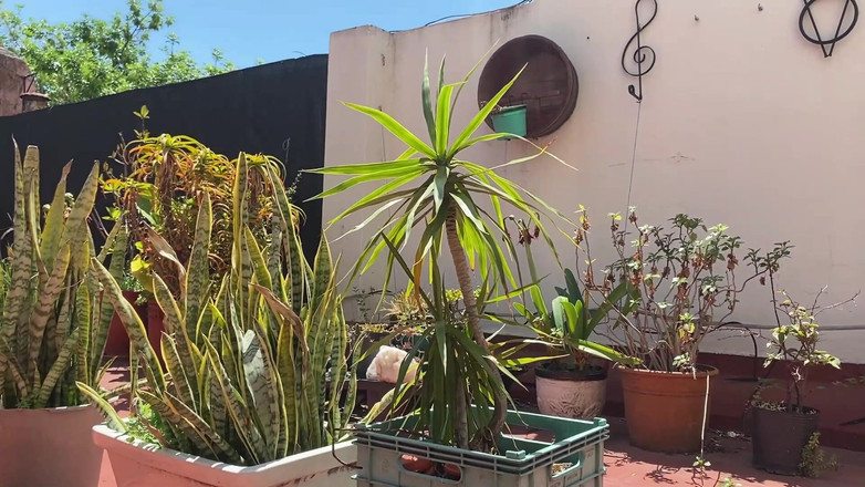 Placer_macho: Plavání mezi sluncem, potěšení a orgasmus.