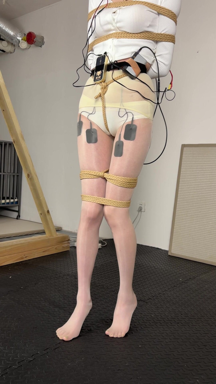 Yanmoushengyi: Limit Electric Shock and Voice-controlled Electric Shock Penalty Standing