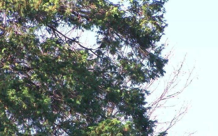 Eagle-Special: Домогосподарка замкнена в приміщенні відразу після того, як її чоловік йде