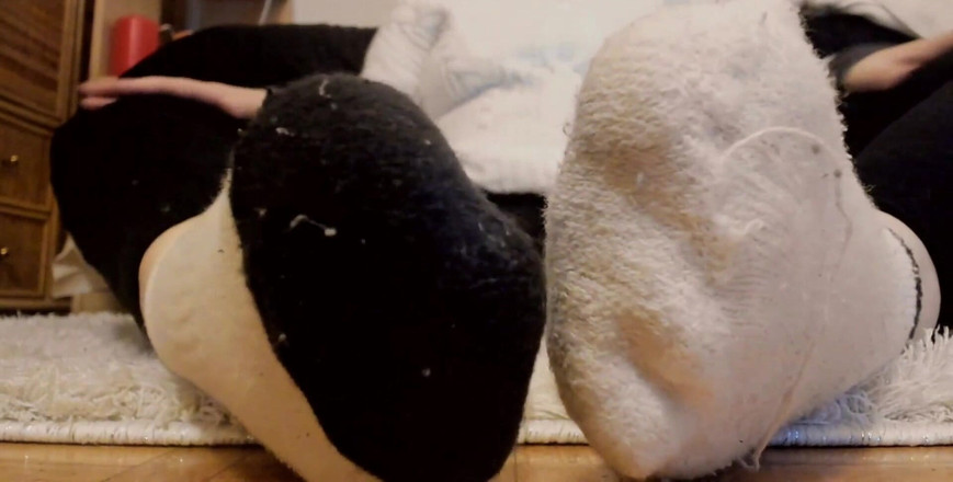 Nicoletta Embassi: ジムでの大きなセッションの後、過度に汗をかいた靴下、あなたはそれらすべての匂いを嗅ぎたいですか?