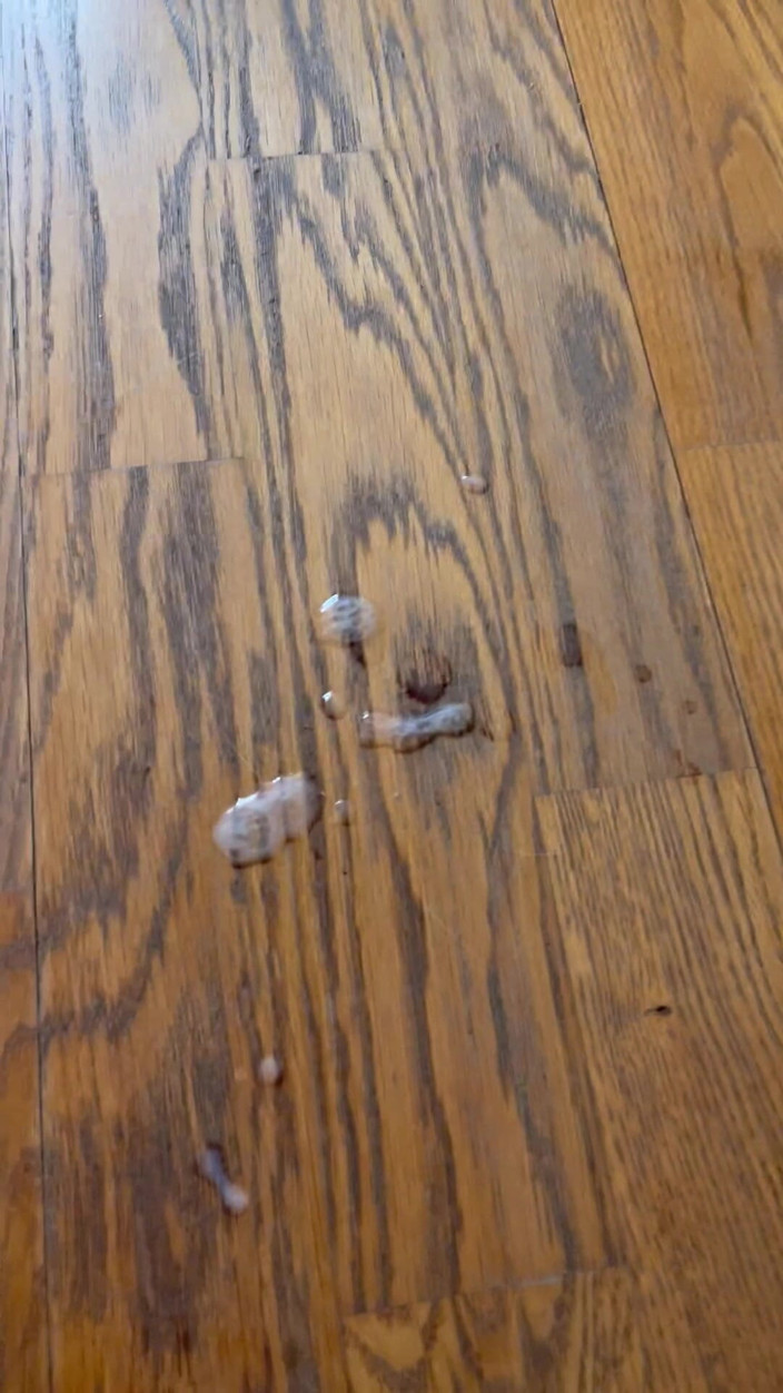 Last day: Femboy Cummed on a Dick