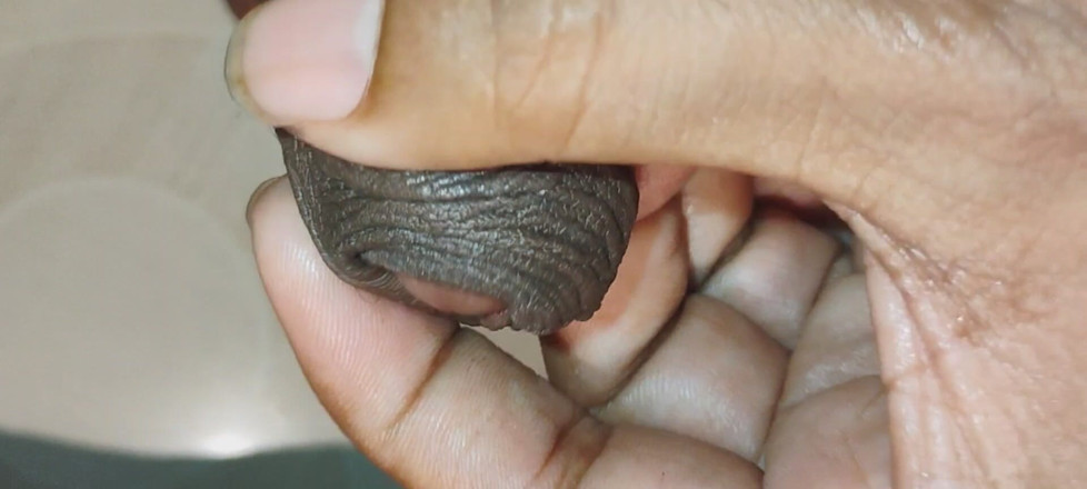 Andrews: Hard Cock Ready to Have Sex