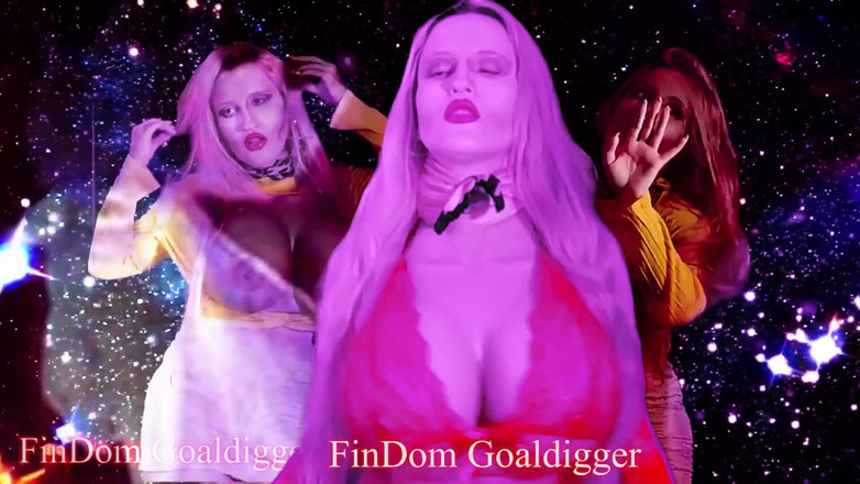FinDom Goaldigger: FinDom Goaldigger is your owner